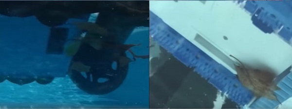 Blue Wave NE3285F Aquafirst Super Rover Robotic Pool Cleaner